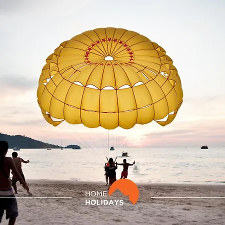 #262 Rosa C By Holidays